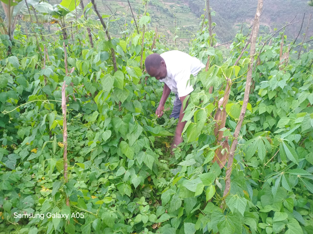 TRIP field monitoring visit